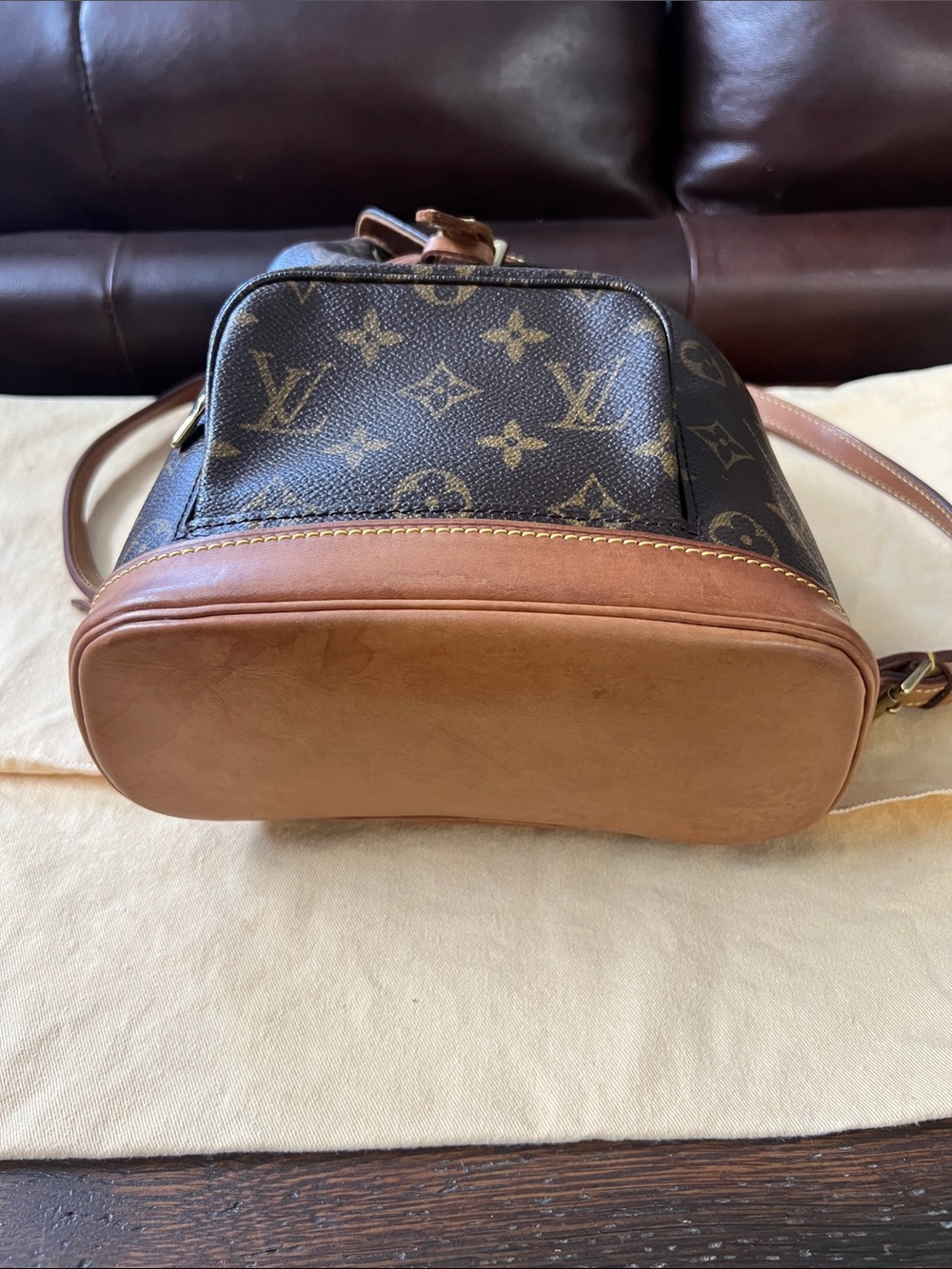 Louis Vuitton Monogram Mini Backpack in Brown and Tan Leather Trim - Picture 6 of 11